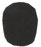 WS-3