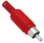 RCA 17 ROSSO